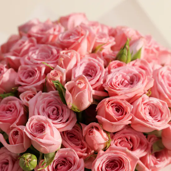 Graceful Pink Baby Roses Bouquet | 35 Flowers