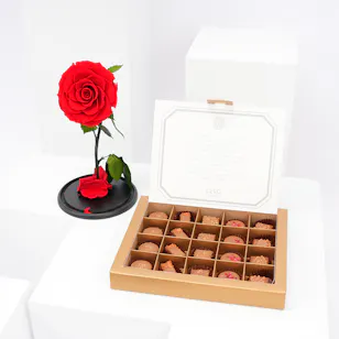 Preserved Red Rose with LEVO Chocolate 