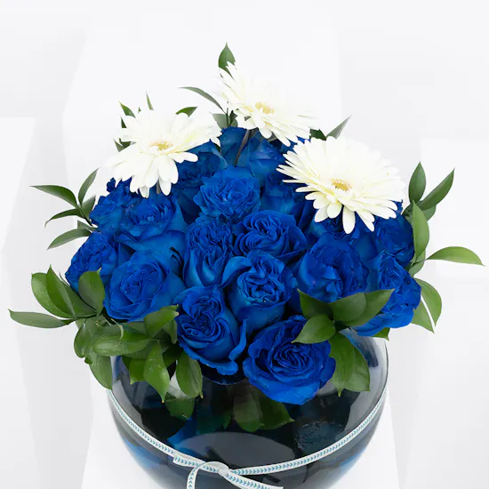 Mykonos | Blue Roses
