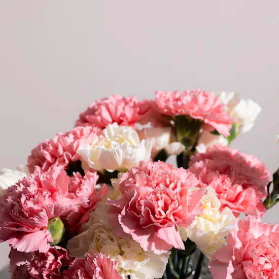 Elegance Reverie Carnation Vase