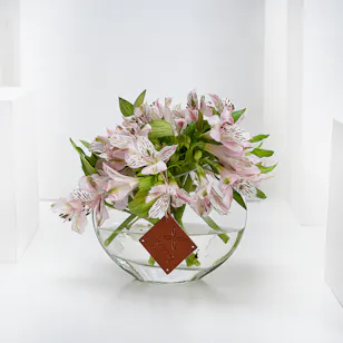 Merie Pink | Glass Vase Merie Pink | Glass Vase