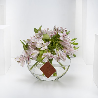 Merie Pink | Glass Vase