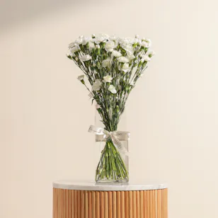 Pure White Baby Carnation Vase