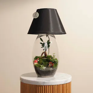 Nano Garden Closed Lamp Terrarium