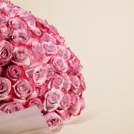 Royal Purple Roses Bouquet | 250 Flower