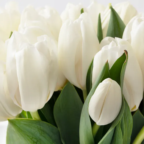 Beautiful White Tulips Vase