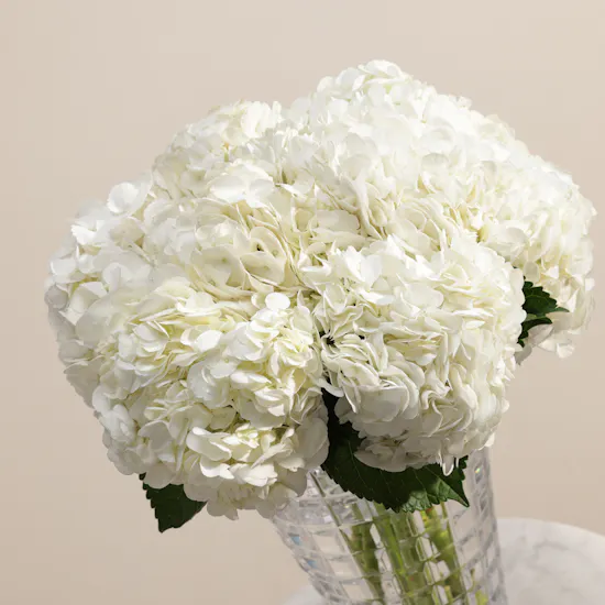 Rogaska Glam Atrium Crystal White Hydrangea Vase