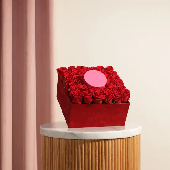Tous My Other Half Short Two-Tone Heart Necklace | Crimson Love Rose Box