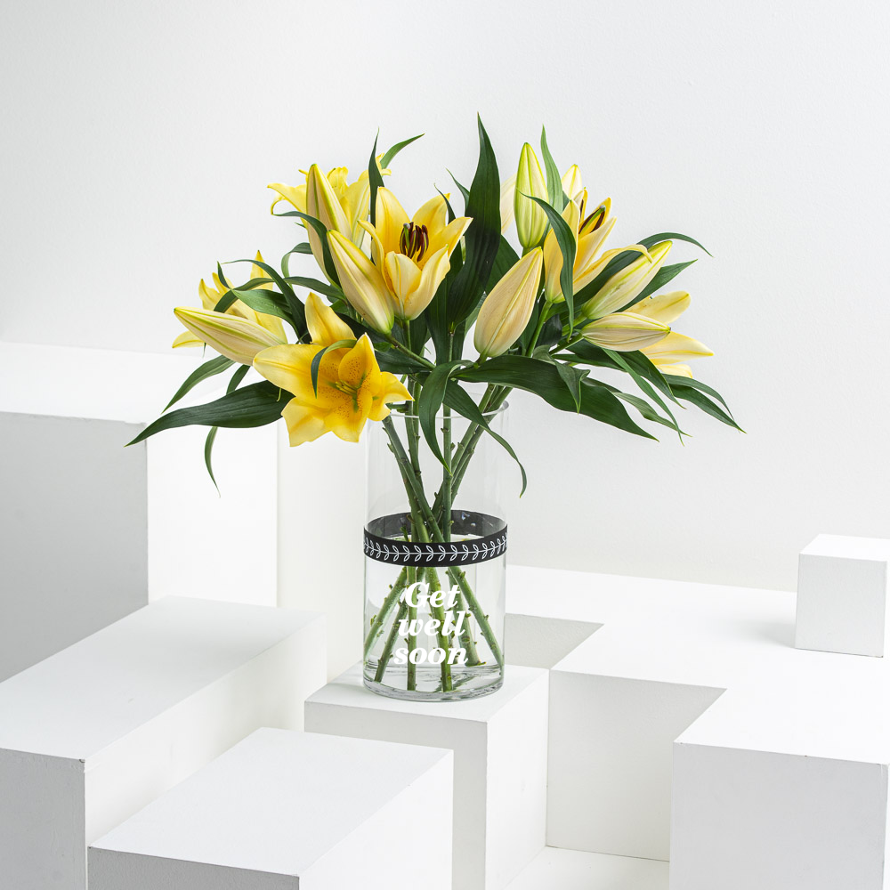 ليليوم أصفر | تمني الشفاء العاجل مزهرية