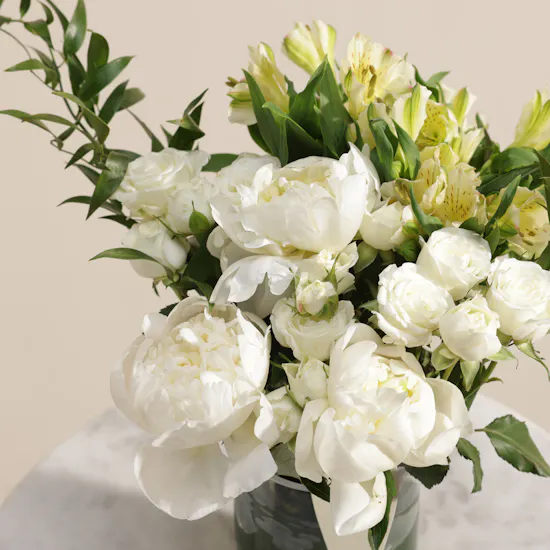 Peony in Quiet Bloom Vase