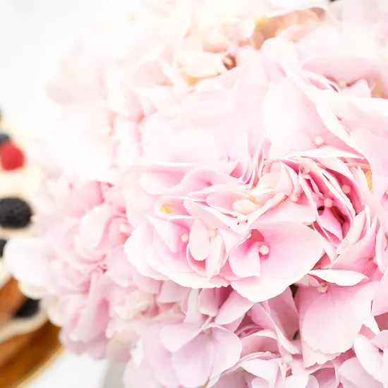 Sucre De Nada Vanilla White Chocolate Cake | Blooms