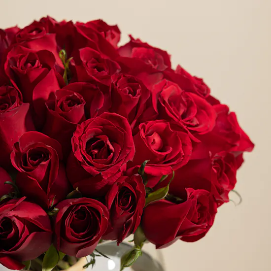 Love's Passion Blooms