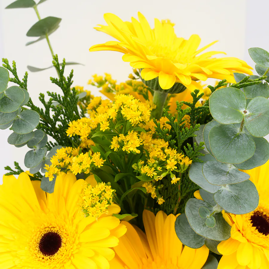 Anoosh Chocolate | Yellow Flowers 4