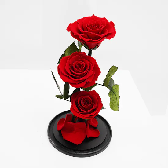 Preserved Red Roses | Glass Dome