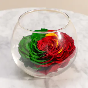 Green and Red Preserved Rose