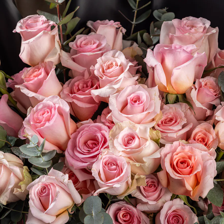 Pink Passion Bouquet | 50 Light Pink Roses 4