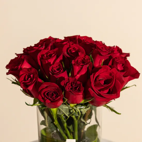 Emotional Moments Rose Vase