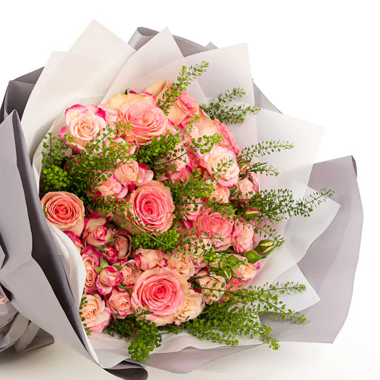 Engineering | Esperance Rose