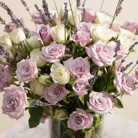 Lavender Field | Cylinder Vase