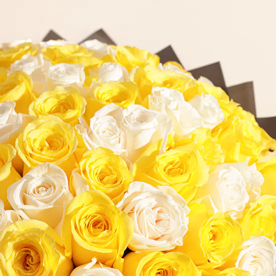 Bright Aura Roses Bouquet | 100 Flowers