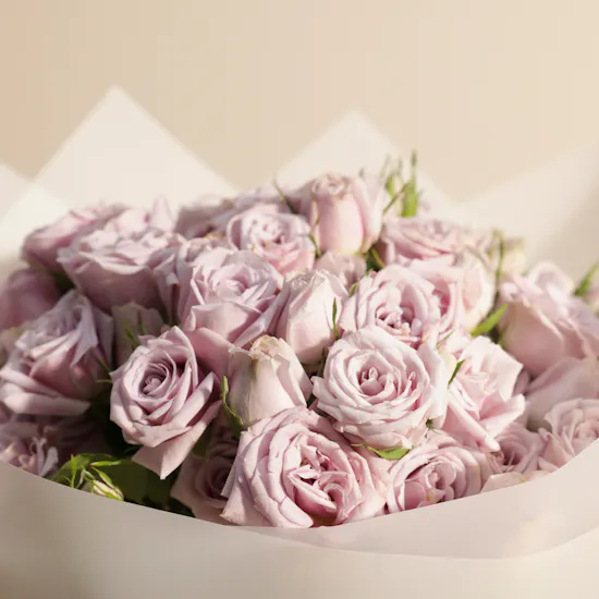Purple Radiance Bouquet | 18 Baby Roses