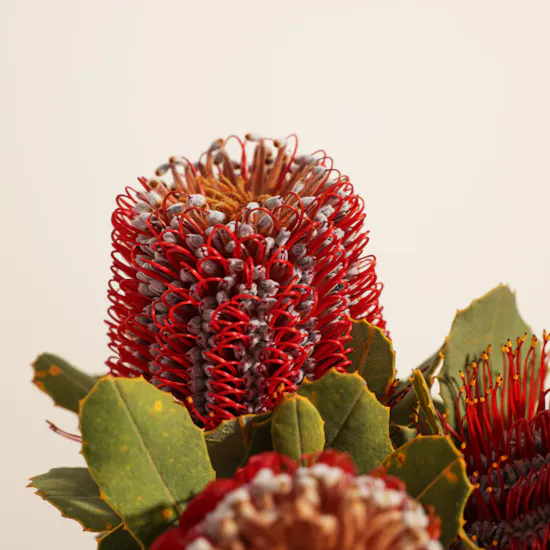 Elegnat Flowers Vase