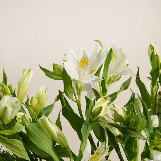Artistic Bloom Flower Vase