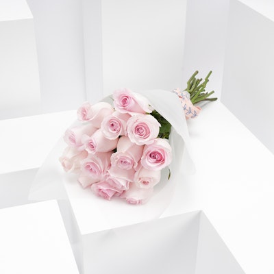 15 Pink Roses | White Wrap
