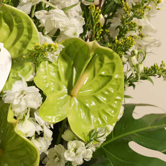 Soft Awakening Flowers Vase