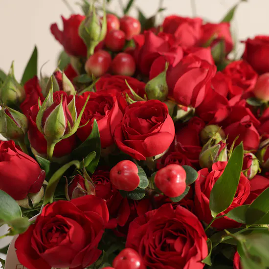 مزهرية زهور نور الشتاء