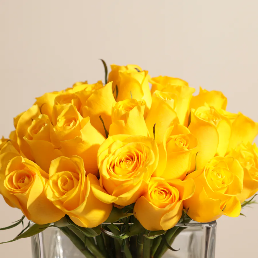 Golden Harmony Vase | 35 Roses 5