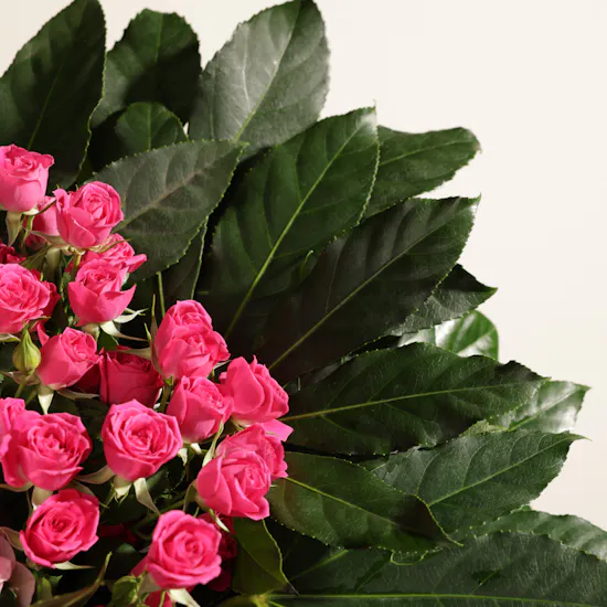 Pink Joy Garden Flowers Vase