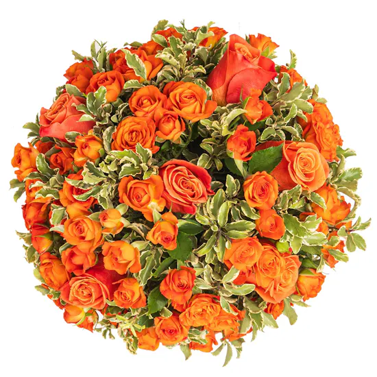 Azhar Hubail Mandarin