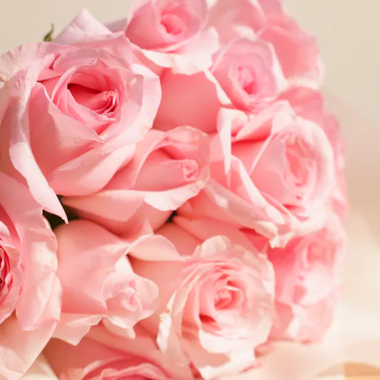 Pink Delight Rose Bouquet