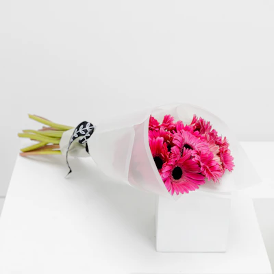 15 Fuchsia Gerbera | White Wrap 15 Fuchsia Gerbera | White Wrap