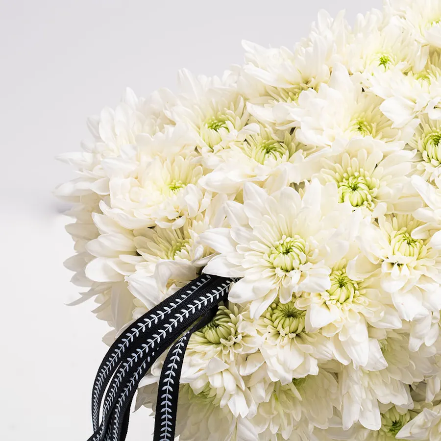 Chrysanthemums | Face Vase 3