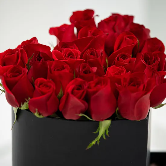 Heart Box of Roses & Chocolate