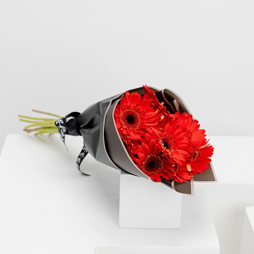 15 جربارة حمراء | تغليف أسود