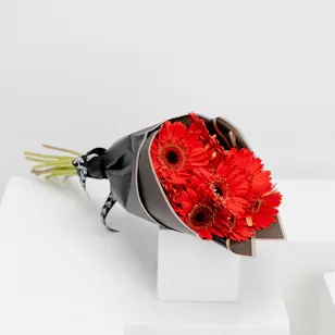 15 Red Gerbera | Black Wrap