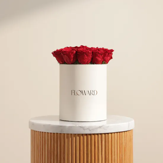 Romantic Preserved Red Rose Box