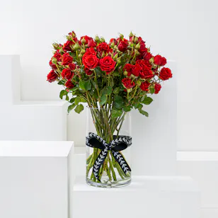 Valentine Day Enchaned  Vase