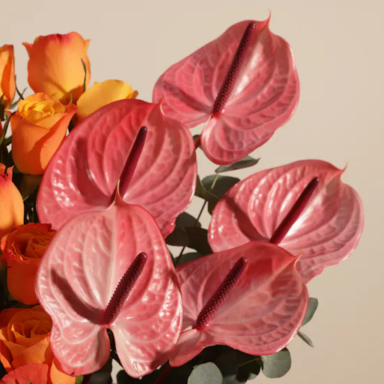 New Year's Sunrise Flower Box