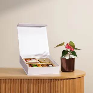 MyGovindas Rakhi Divine Bond Sweets Box | Charming Leafy Plant
