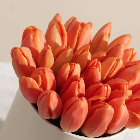 Orange Tulip Touch Flower Box | 30 Flowers