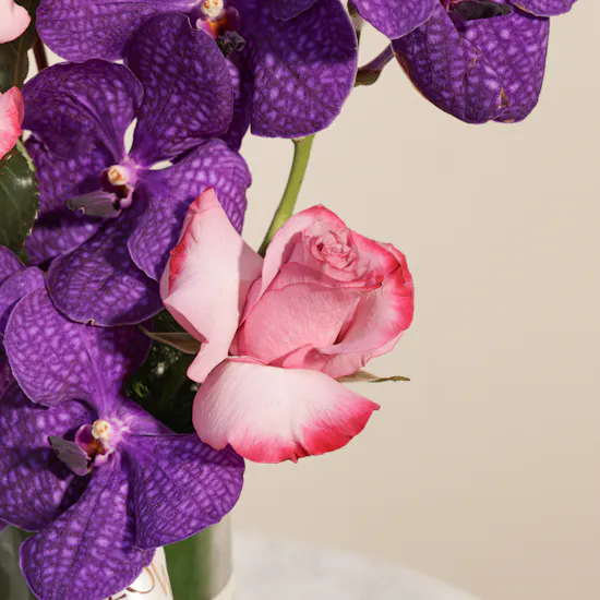 Charbonnel et Walker Chocolate Truffles Box | The Gentle Garden Flowers Vase