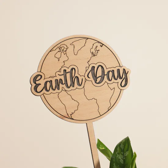 Thailandese Aglaonema Maria Earth Day Plant