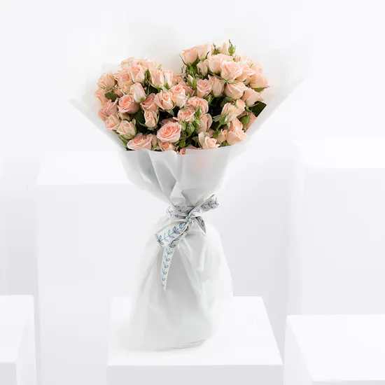 Peachy Passion | Baby Roses