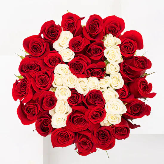 White Baby Rose Letter | Red Roses Box