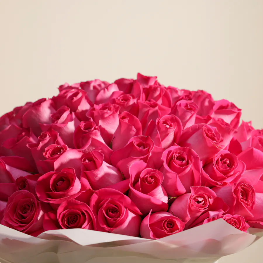 Magnificent Fuchsia | 100 Rose Bouquet 3