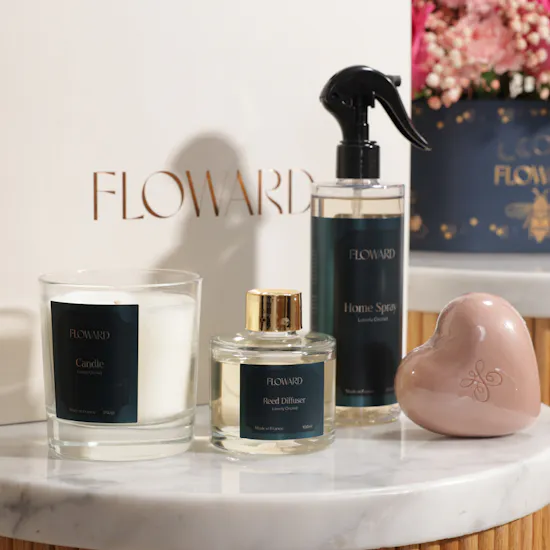 Floward Lovely Orchid Elegant Home Set | Colorful Flower Box